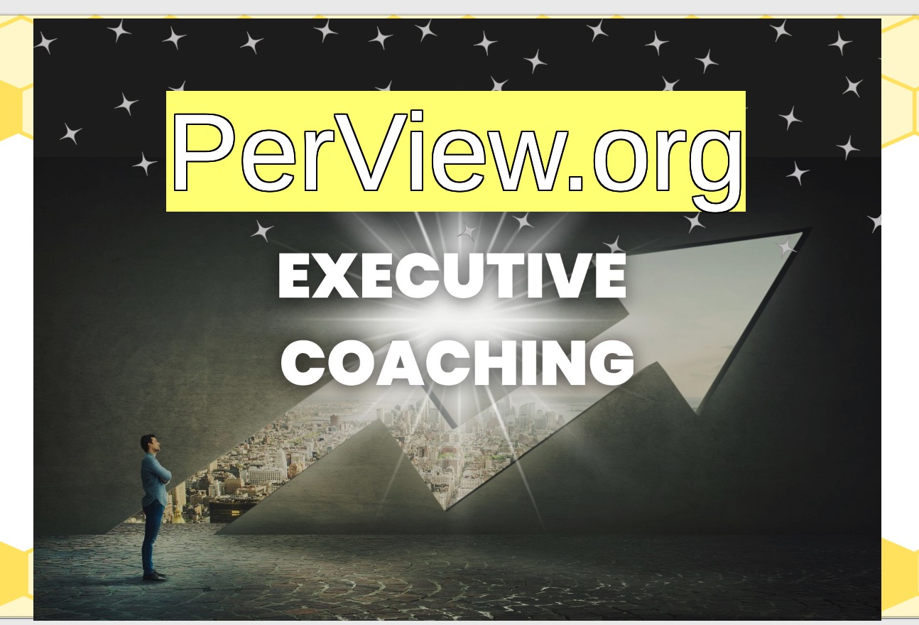 PerView
                  Executive Coaching